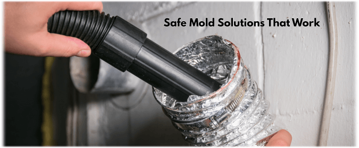 Air Duct Mold Removal in Garland TX