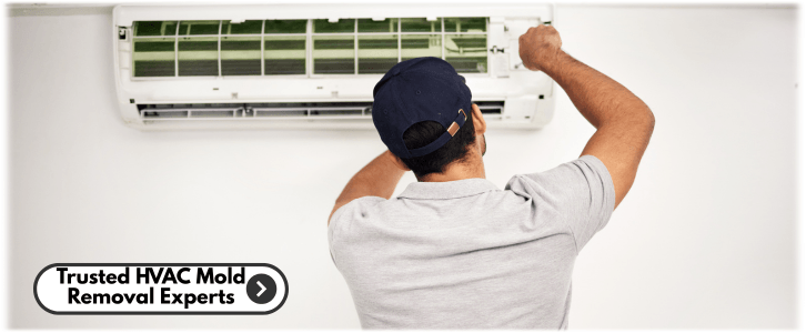 HVAC Mold Removal Garland TX